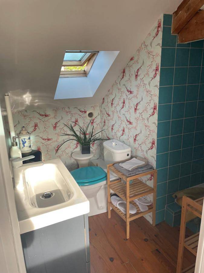 Chambre d’hôte pour 2 personnes, avec vue ainsi que terrasse et jardin à Rennes - 4