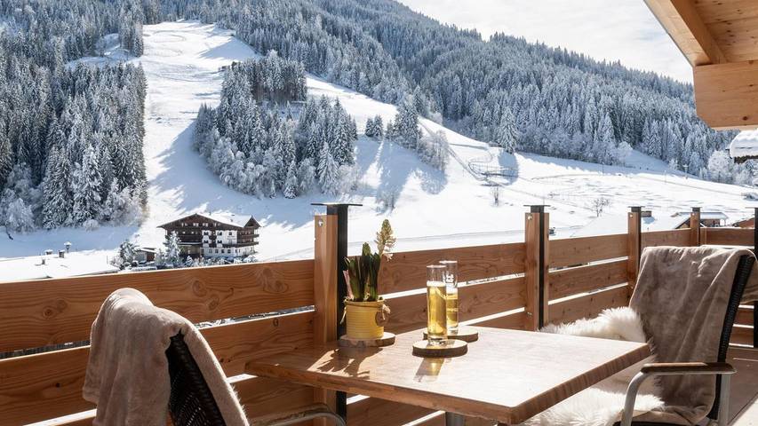 Ferienhaus für 21 Personen, mit Terrasse, mit Haustier in Wildschönau - 3