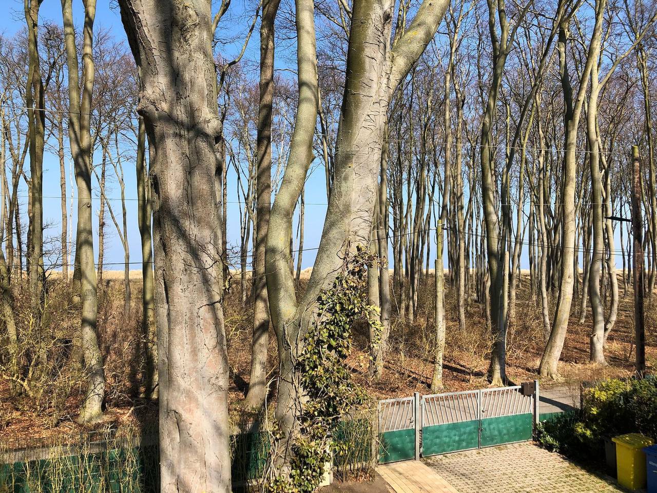 Ganze Ferienwohnung, Haus am Meer - Ferienhaus in Strand Graal-Müritz, Graal-Müritz