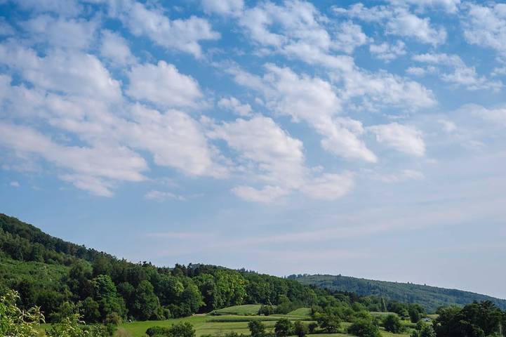 Ferienwohnung für 2 Personen, mit Terrasse und Garten in Friesenheim - 2