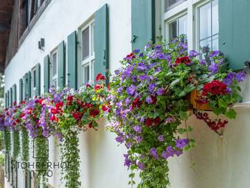 Ferienhaus für 15 Personen, mit Garten am Ammersee