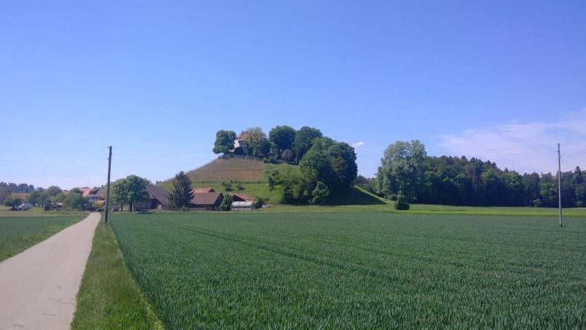Chambre d’hôte pour 2 personnes, avec jardin et vue à Stein am Rhein - 4
