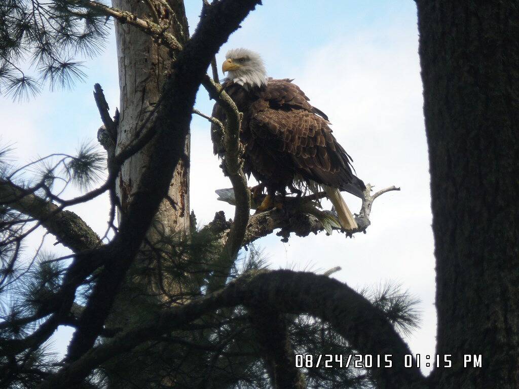 Schönes Haus am See mit Resort-Ausstattung in Becker County