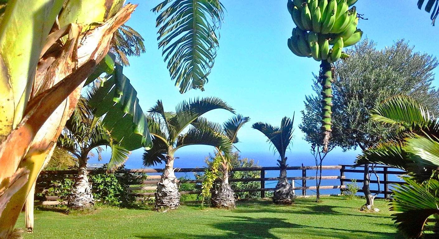La Maison Zen : nature, calme, vue océan 180° in Saint-Leu, Île de la Réunion