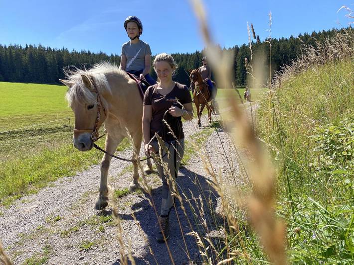 Ferienhaus für 5 Personen, mit Terrasse und Garten in Mittlerer Schwarzwald