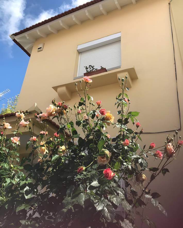 Vacation rental for 6 people, with yard in Lisbon