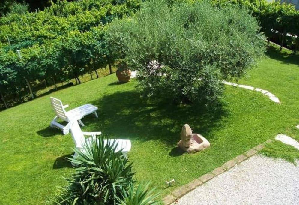 Ganze Wohnung, Le Perine in Valdobbiadene, Südliche Karnische Alpen