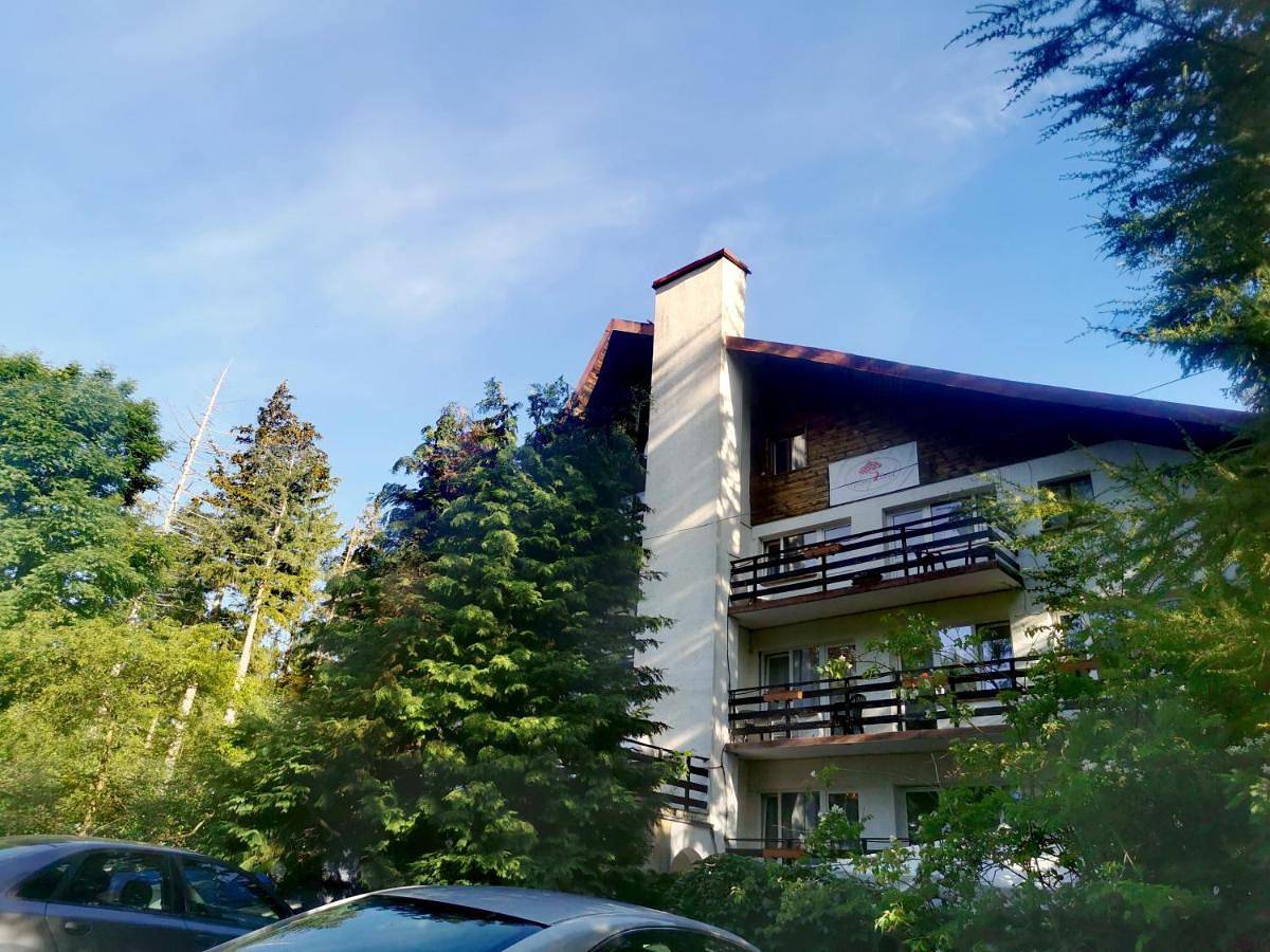 Malinowy Domek in Karpacz, Sudety (Polska)