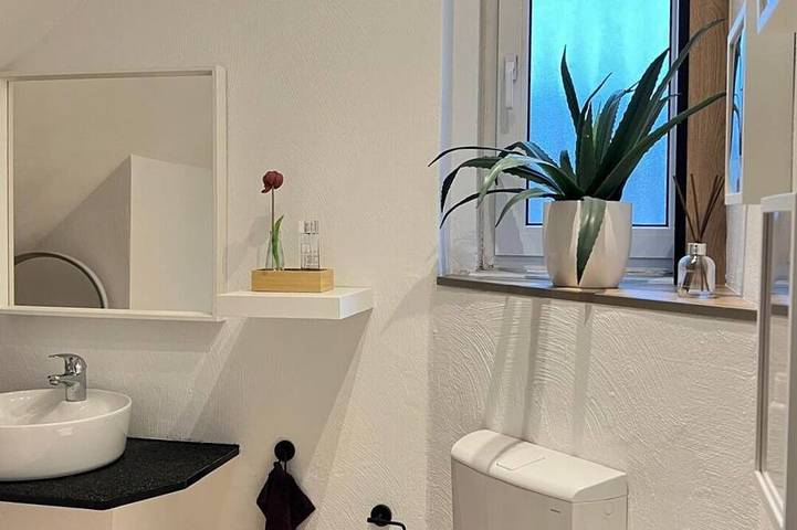 Ganze Wohnung, Ferienwohnung mit Wellness - im Herzen von Worms! in Worms, Kurpfalz