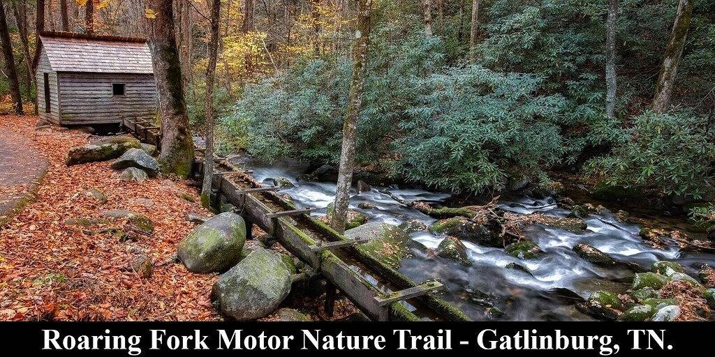Glamping for 6 Guests in Gatlinburg, Great Smoky Mountains National Park