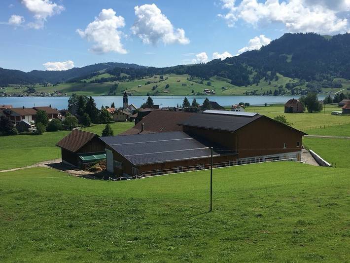 Ferienwohnung in Gross mit Schwimmbecken in Einsiedeln, Kanton Schwyz