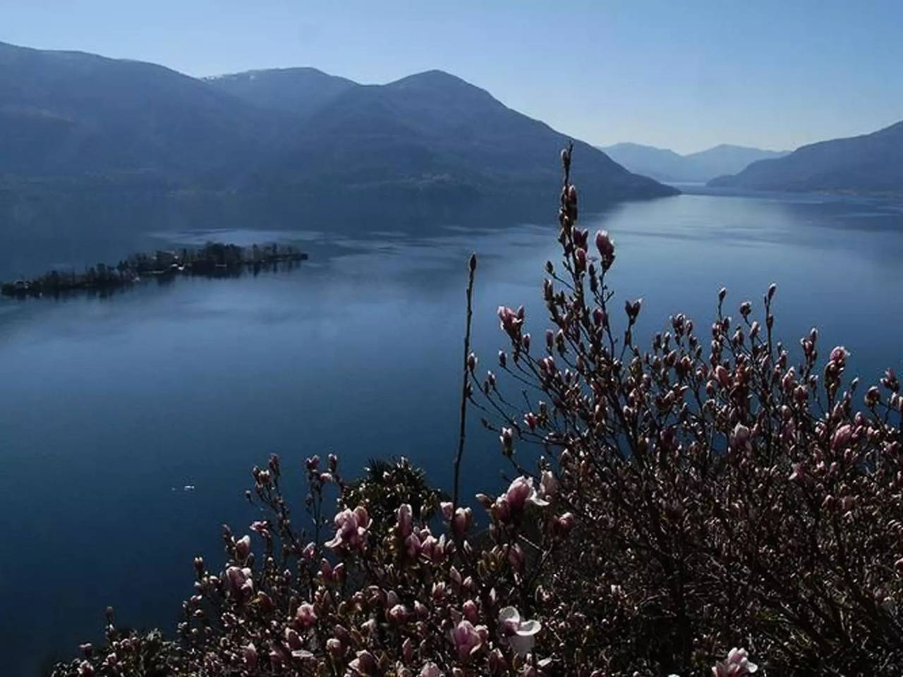 Ganze Wohnung, 4 Zimmer 2 Personen in Ronco sopra Ascona, Tessiner Alpen