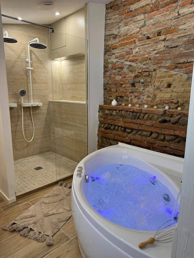 Gîte pour 2 personnes, avec terrasse et jacuzzi à Tournefeuille - 2