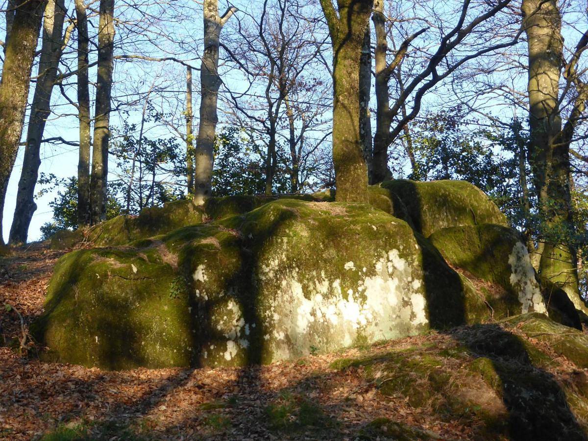 La Bouriotte Chambre d'hôtes Bouton D'Or in Labastide-Rouairoux, Région de Castres