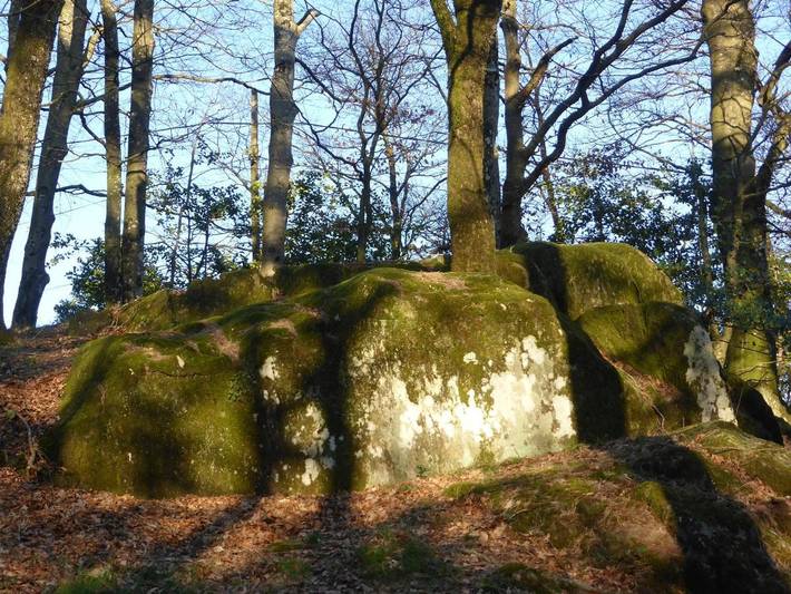 Location de vacances pour 2 personnes, avec jardin et vue à Labastide-Rouairoux - 4