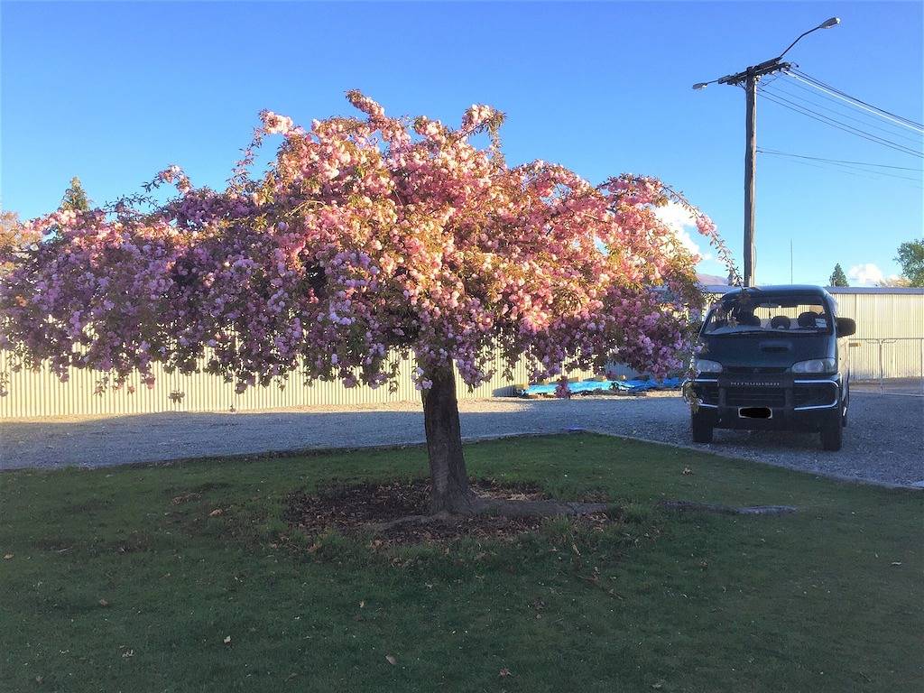 Twizel Friedlicher Rückzug in Twizel, Mackenzie District