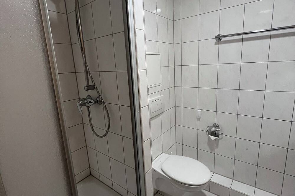 Ganze Wohnung, Appartement in der Innenstadt in Mainz, Rheinhessen