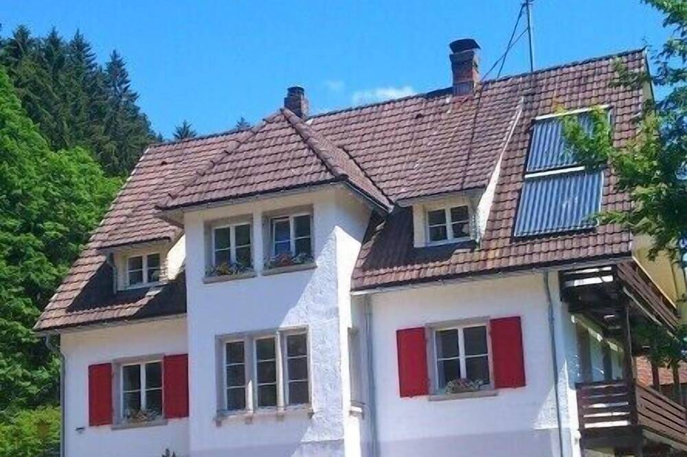 Ganze Wohnung, Komfortables Zuhause zwischen Bachlauf und Waldrand in Dachsberg, Südschwarzwald