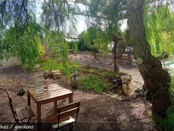 Finca für 6 Personen in San Miguel de Abona, Teneriffa Süd, Bild 1