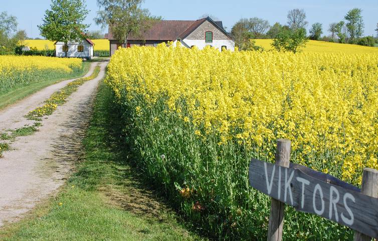 Ferienhaus für 6 Personen, mit Terrasse und Garten in Sjöbo und Umgebung - 2