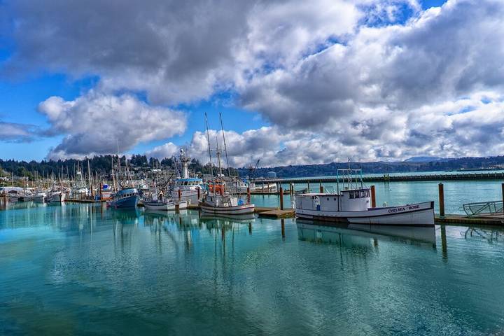 Vacation house for 10 people, with terrace in Oregon Coast