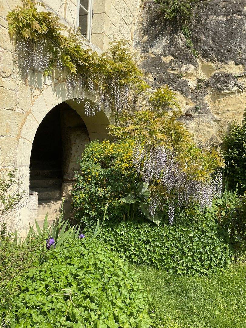 Le Logis des Roches d'Antan - troglodytiques - Chambre Tuffeau in Le Coudray-Macouard, Vallée de la Loire