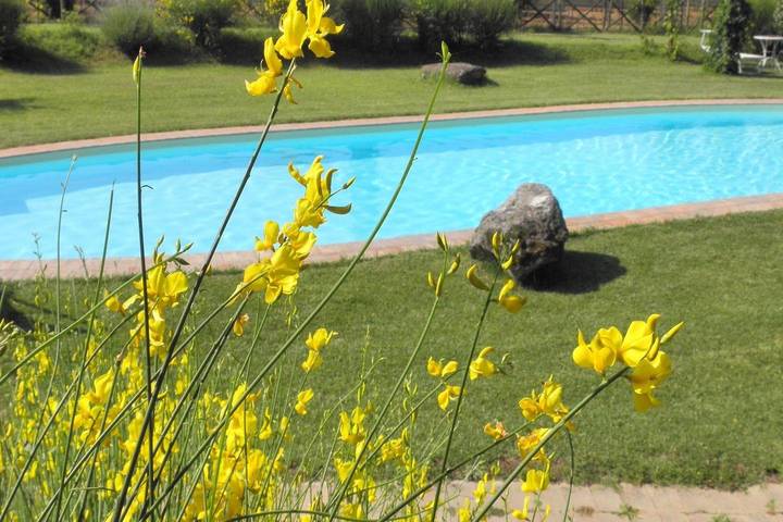 Agriturismo per 6 persone, con terrazza in Monteleone d'Orvieto