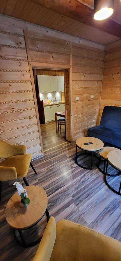 Cały apartament, Apartment - Ground Floor in Biały Dunajec, Karpaty (Polska)