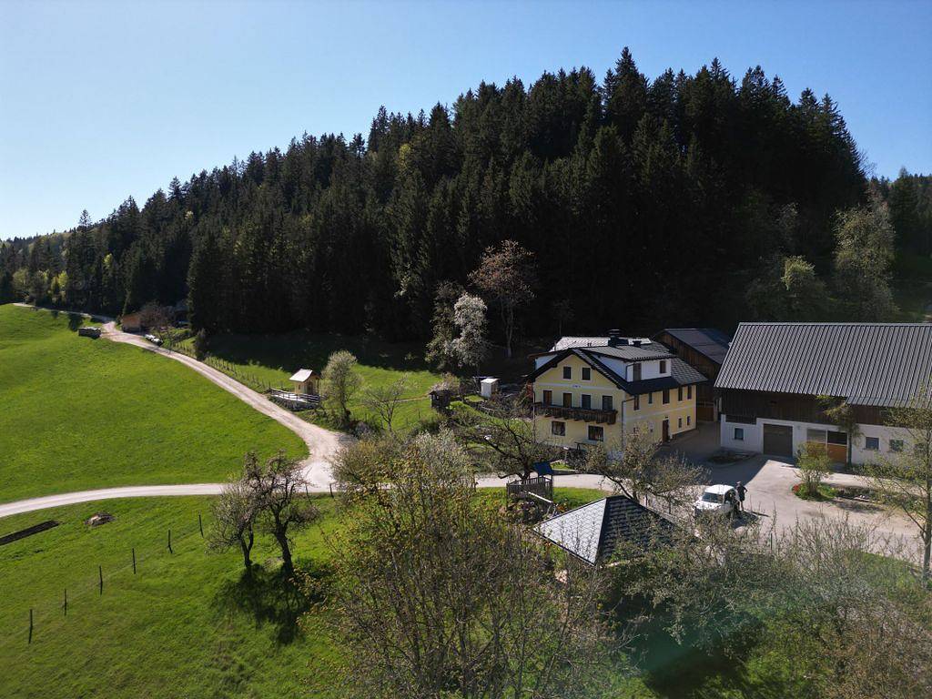 Familienbauernhof Glockriegl - Kuschelapartment 3 in Lunz am See, Mostviertel