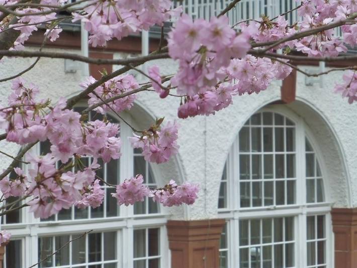 Hotel für 2 Personen, mit Terrasse in Annweiler - 3