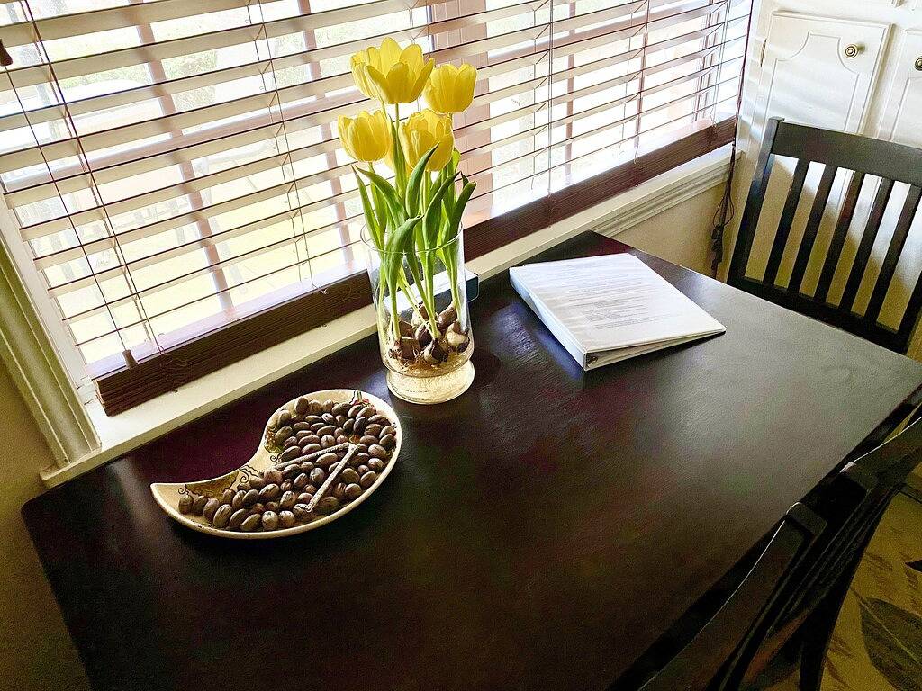 Ganze Wohnung, Oxford Town-Close to Campus and Walking Trails-New Furniture! in Oxford (MS), Lafayette County