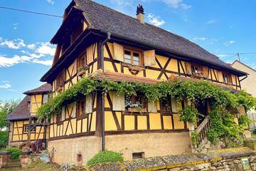Gîte pour 14 personnes, avec piscine ainsi que jacuzzi et terrasse à Rangen