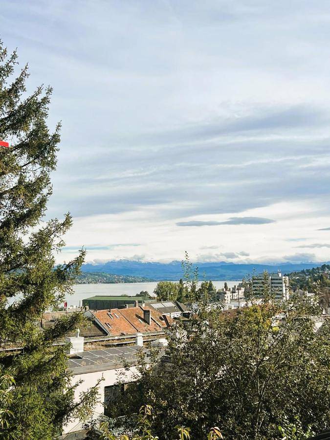 Appartamento per 6 persone, con Balcone e Panorama a Zurigo
