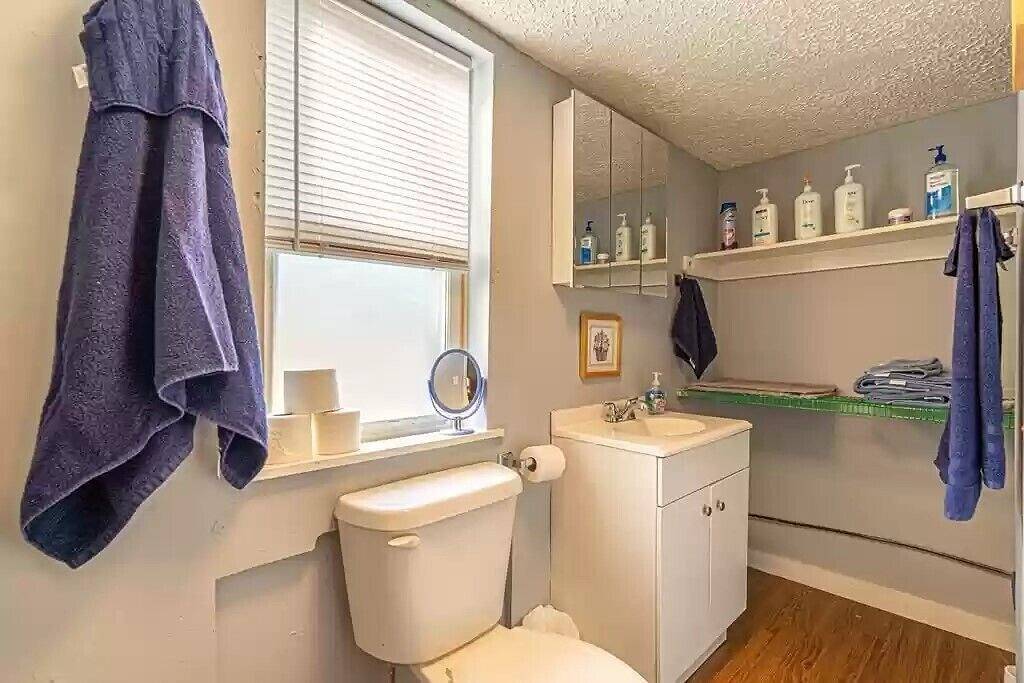 Cozy Cottage to soak up Appalachia's beauty in Damascus, Washington County (VA)