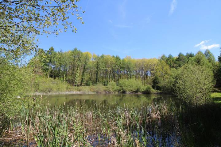 Cirèges in Le Chalard, Région de Limoges