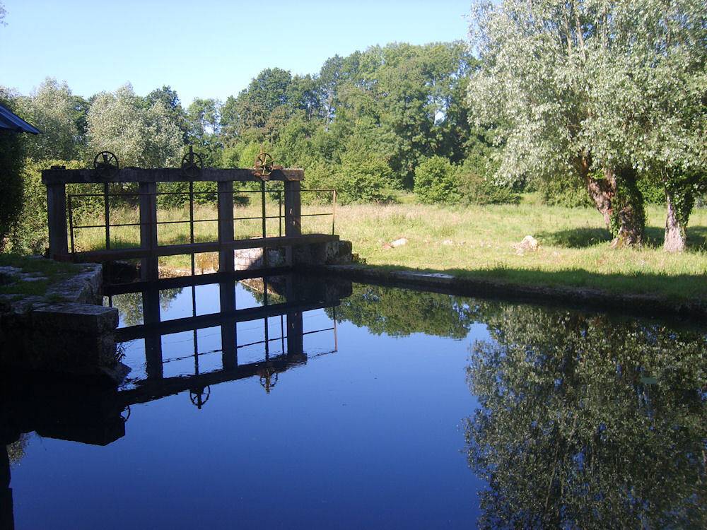 Moulin de Ségland - Vaches in Saint-Denis-les-Ponts, Région de Châteaudun