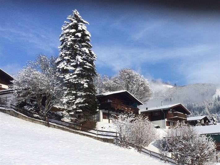 Chalet in Niedernsill nahe Zell am See in Niedernsill, Pinzgau