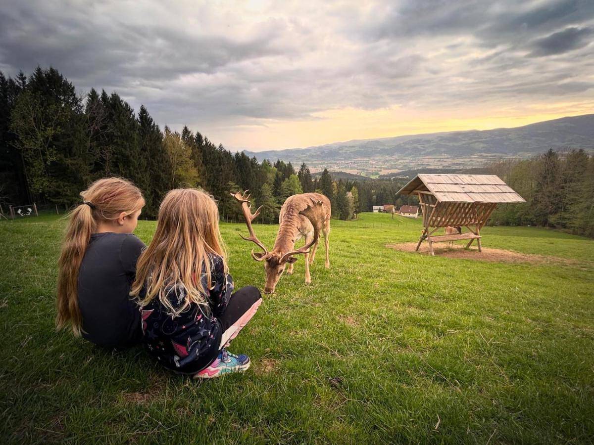 Ganze Wohnung, Ferienhütte Simon Gregor in Sankt Andrä, Lavanttaler Alpen