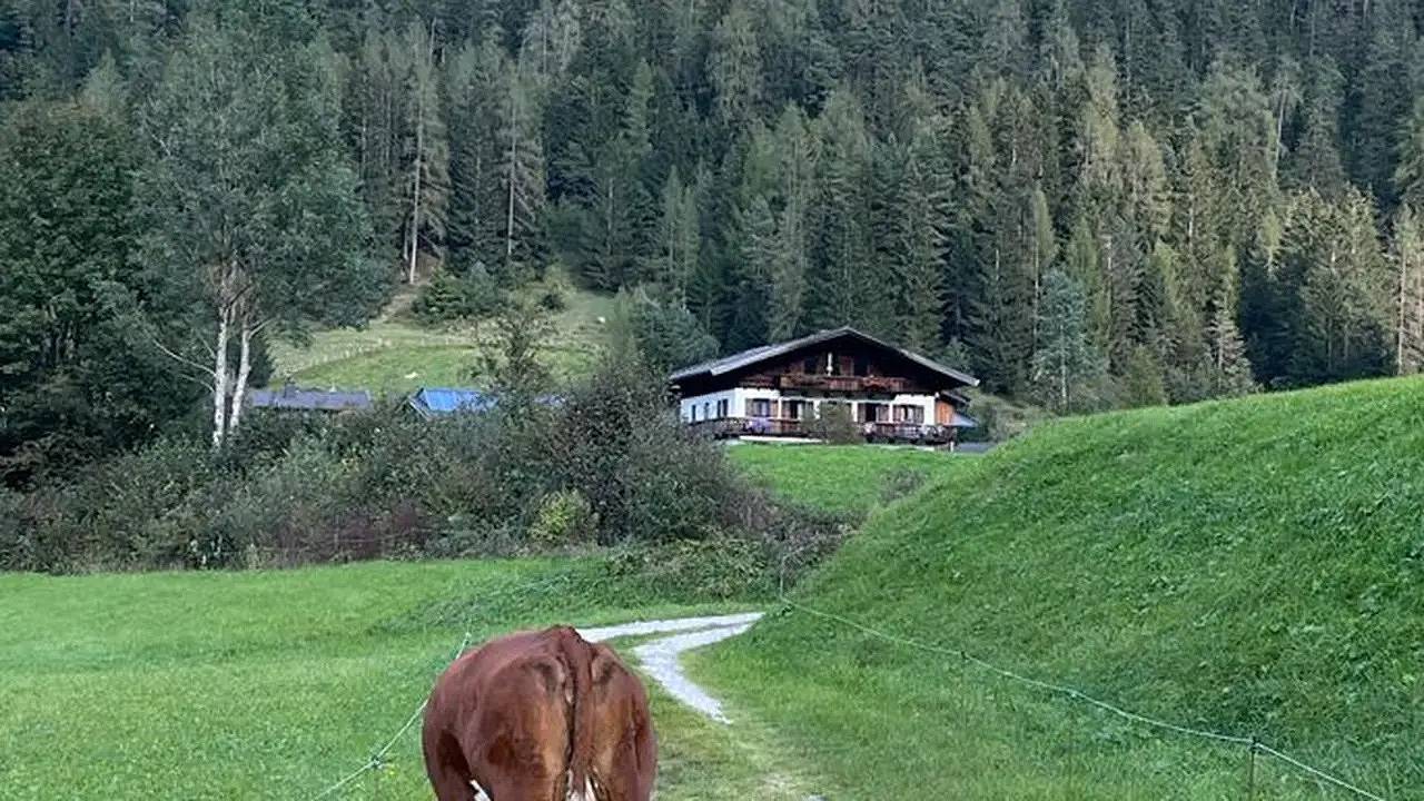 Ganze Ferienwohnung, Ferienwohnung für 4 Personen (45 m²) in St. Martin b. Lofer in Sankt Martin bei Lofer, Pinzgau