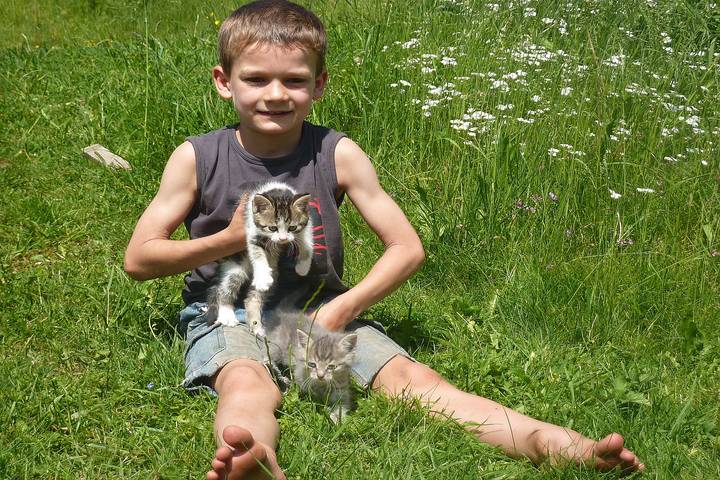 Bauernhaus für 6 Personen, mit Garten, mit Haustier in Schönwald im Schwarzwald - 4