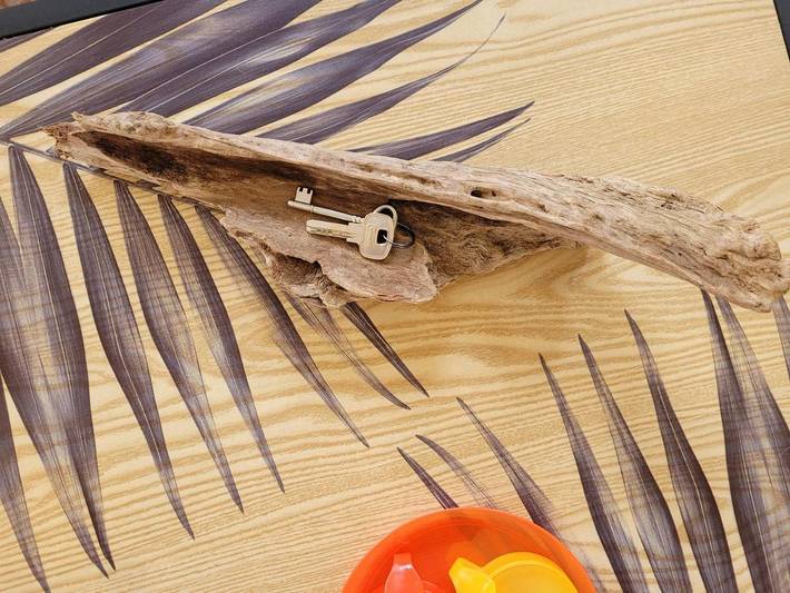 Maison d’hôte pour 2 personnes, avec jardin et vue, animaux acceptés dans Açores - 4