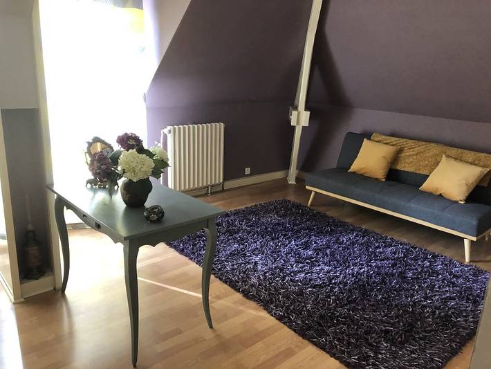 Chambre d’hôte pour 2 personnes, avec jardin et piscine dans la Sarthe - 3