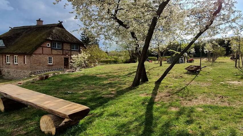 Ferienhaus für 4 Personen, mit Garten in Zirkow - 2