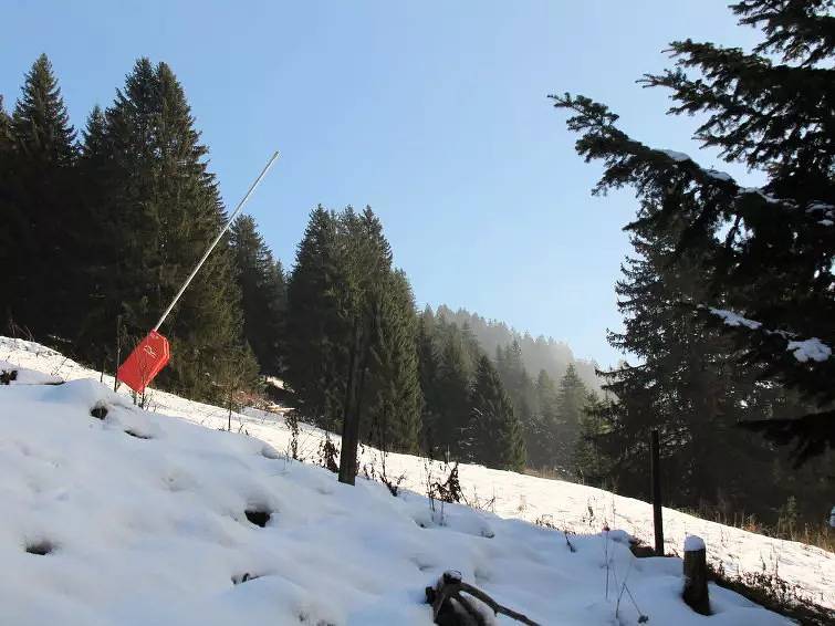 Appartement entier, 2 Pièces 3 Personnes in Villars-sur-Ollon, Ollon (Villars-sur-Ollon)