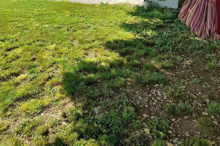 Gîte pour 6 personnes, avec piscine et jardin