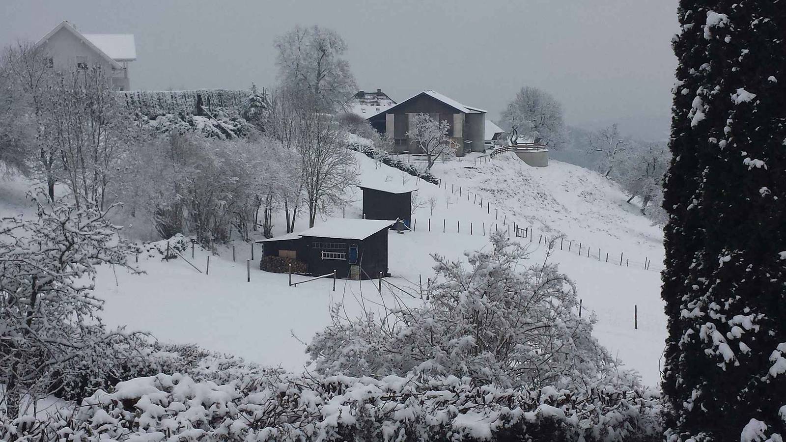 Ganze Ferienwohnung, Ferienwohnung mit großem Garten, Grillmöglichkeit und Außenpool in Mölbling, Mittelkärnten