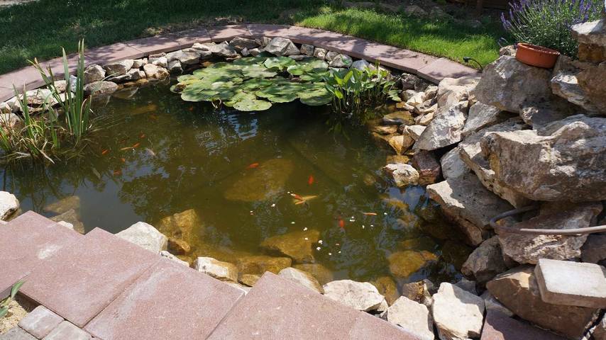 Ferienwohnung für 2 Personen, mit Garten in Plattensee Ostufer - 4