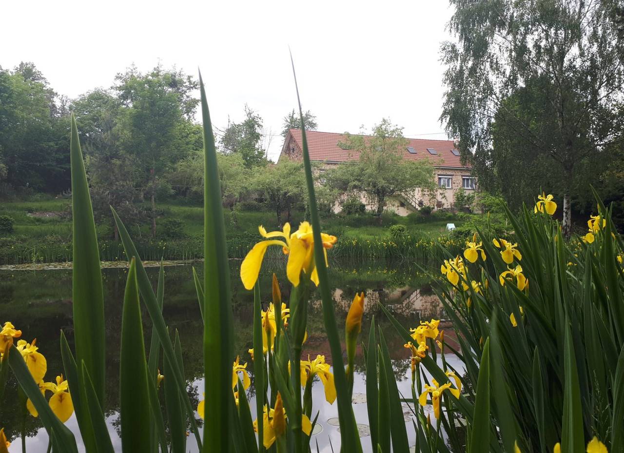Gîte 18 personnes avec étang in Saint-Jacques-d'Ambur, Région de Riom