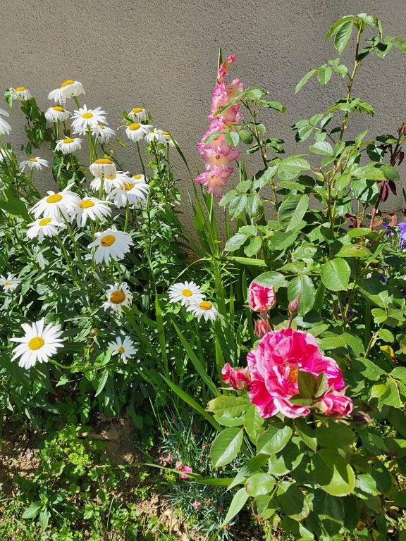 Chambre d’hôte pour 2 personnes dans Nièvre - 4