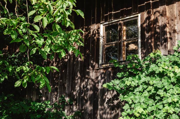 Bauernhof für 6 Personen, mit Garten, mit Haustier im Bayerischer Wald - 3